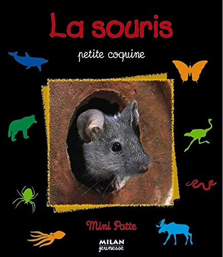 La souris : petite coquine