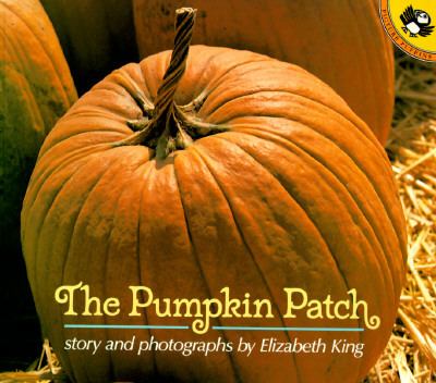 The pumpkin patch