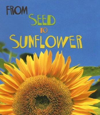 From seed to sunflower