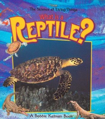 What is a reptile?