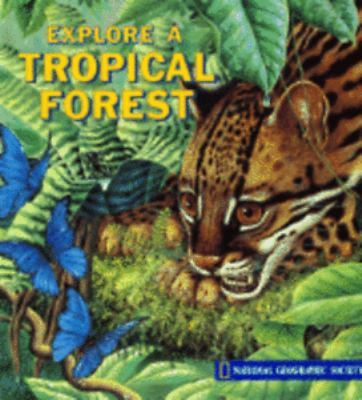 Explore a tropical forest