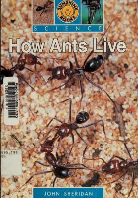 How ants live