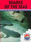 Sharks of the seas