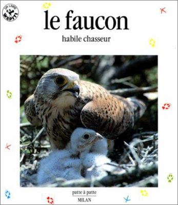 Le faucon : habile chasseur