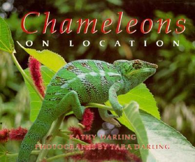 Chameleons on location