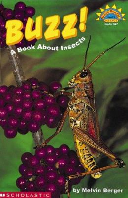 Buzz! : a book about insects