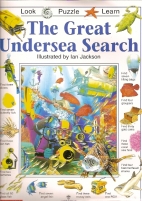 The great undersea search