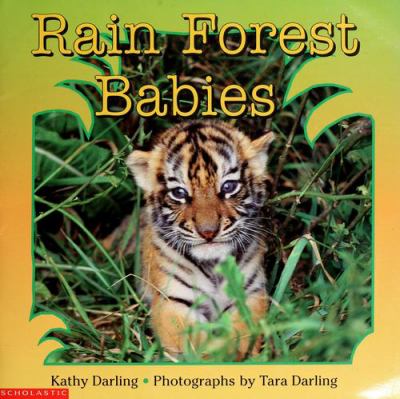 Rain forest babies