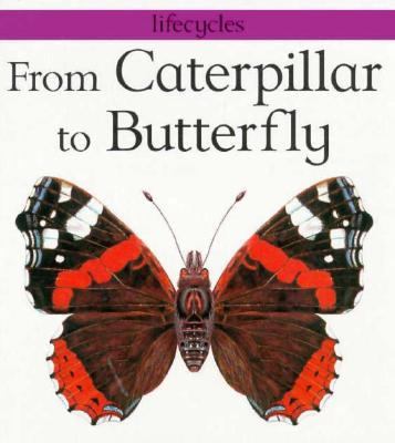 From caterpillar to butterfly