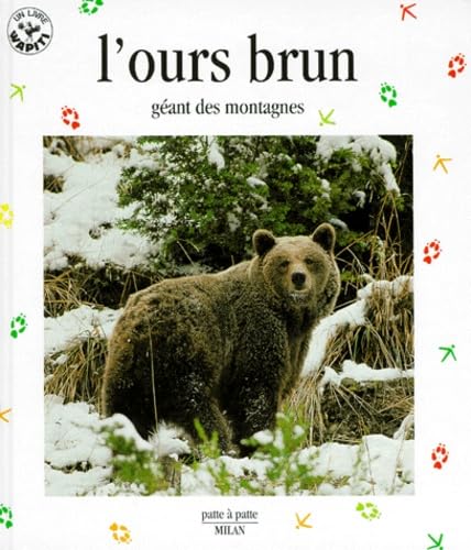 L'ours brun : géant des montagnes