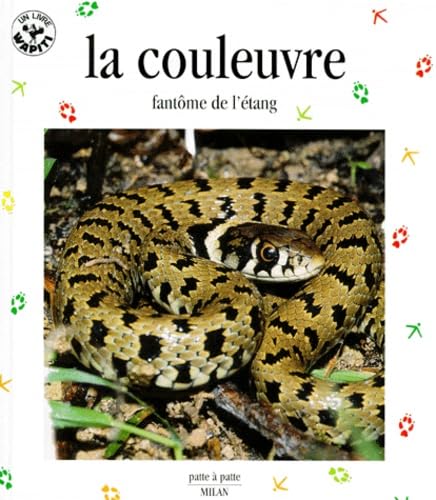 La couleuvre : fantôme de l'étang