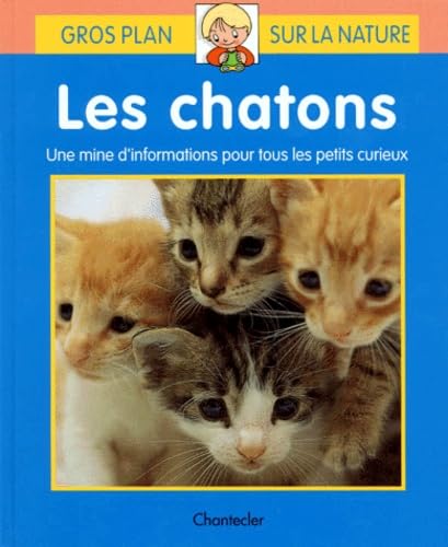 Les chatons