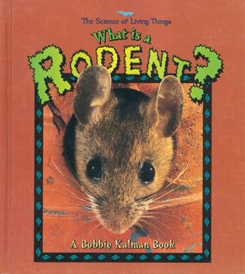 What is a rodent?