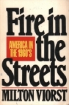 Fire in the streets : America in the 1960s