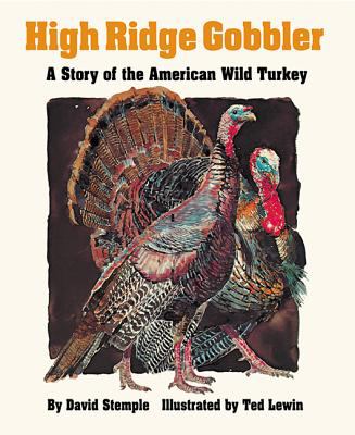 High ridge gobbler : a story of the American wild turkey/