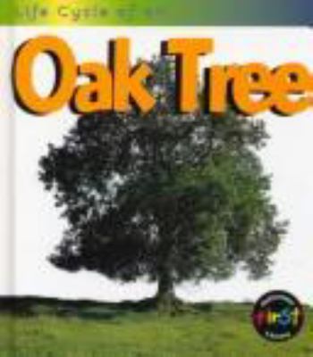 Life cycle of an oak tree