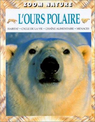 L'ours polaire : habitat, cycle de la vie, chaîne alimentaire, menaces