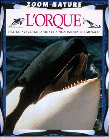 L'orque : habitat, cycle de la vie, chaîne alimentaire, menaces