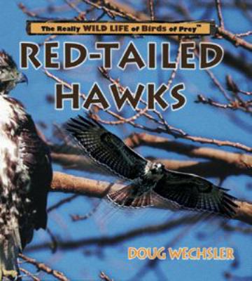 Red-tailed hawks