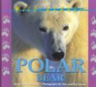 Polar bear