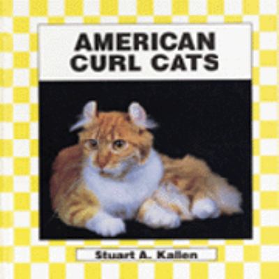 American curl cats