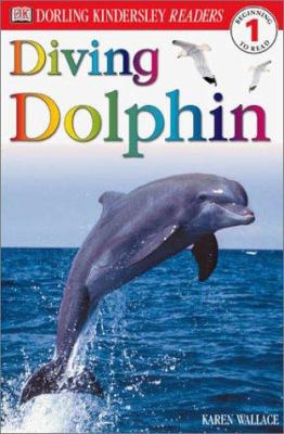 Diving dolphin