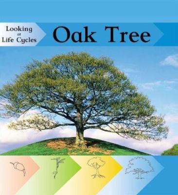 Oak tree