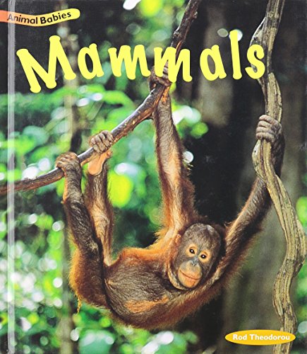 Mammals