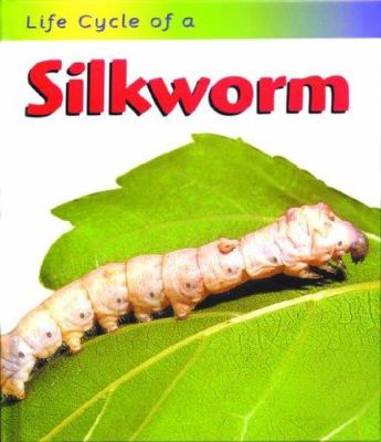 Life cycle of a silkworm