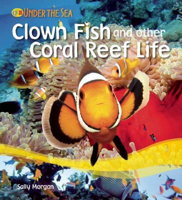 Clown fish and other coral reef life