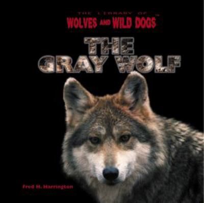 The gray wolf