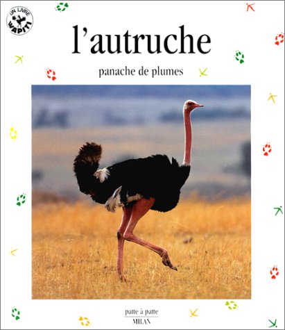 L'autruche : panache de plumes