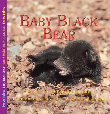 The adventures of Baby Bear