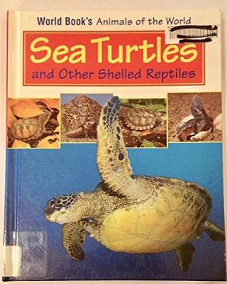 Sea turtles and other shelled reptiles