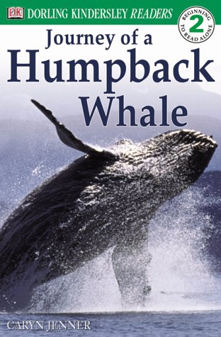 Journey of a humpback whale