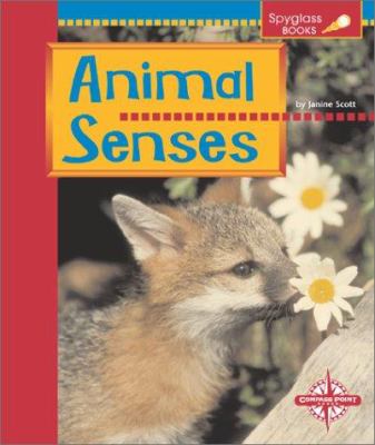 Animal senses