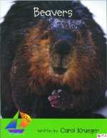 Beavers