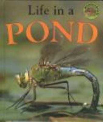 Life in a pond