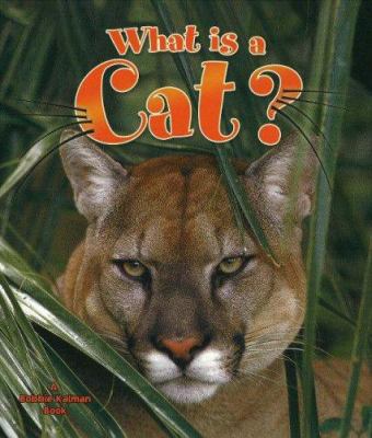 What is a cat?