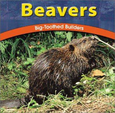 Beavers : big-toothed builders