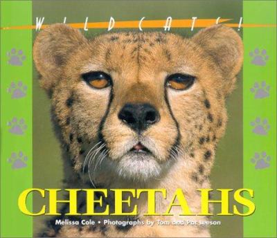 Cheetahs