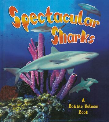 Spectacular sharks