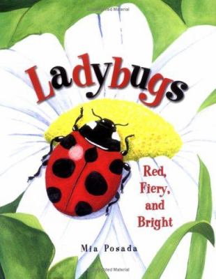 Ladybugs : red, fiery, and bright