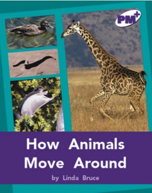 How animals move around
