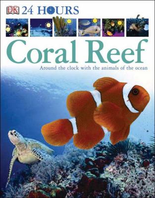 24 hours coral reef
