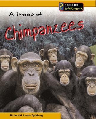 A troop of chimpanzees