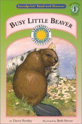 Busy little beaver