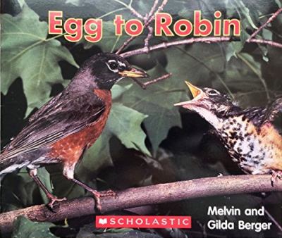 Egg to robin
