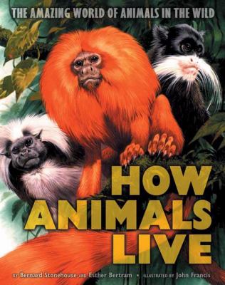 How animals live : the amazing world of animals in the wild