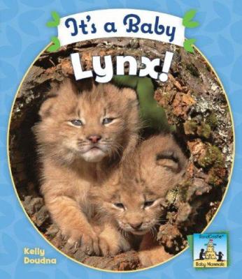 It's a baby lynx!